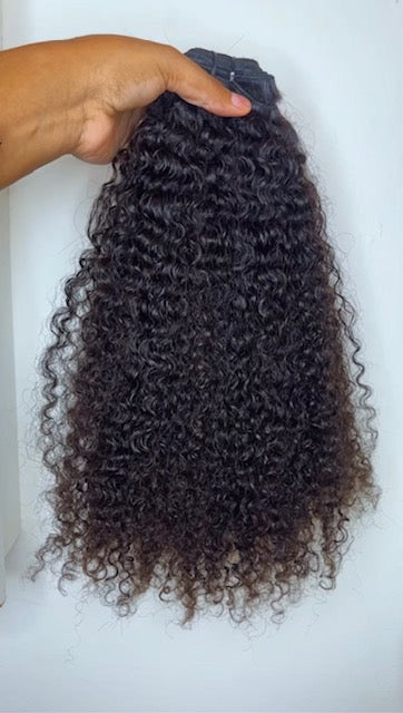 Burmese Curly